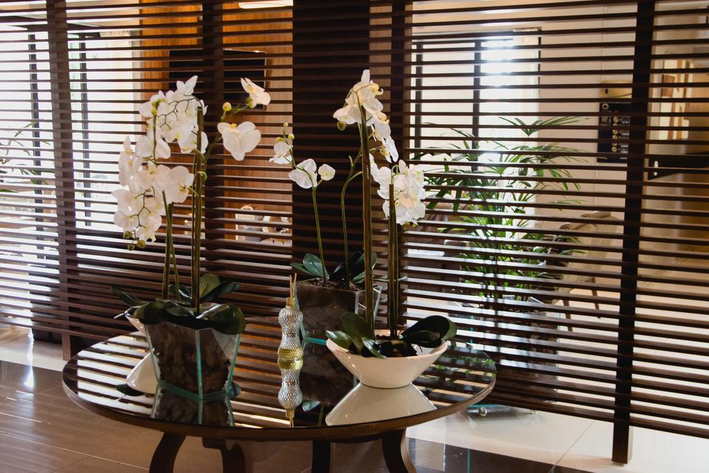 Class Hotel Алфенас Экстерьер фото